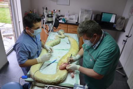 python subissant une opération